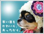 dognailドッグネイルのんびり生きましょう
