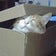 猫寝入りのブログ