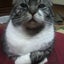Yukiのサムネイル