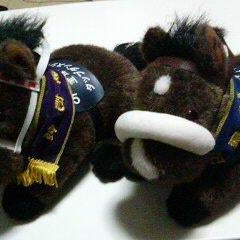 いちご100 を語る Tk S Blog D