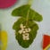 青い天使のラブソング 　(隠れサトシックのひととき)