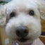 れおちゃんのサムネイル