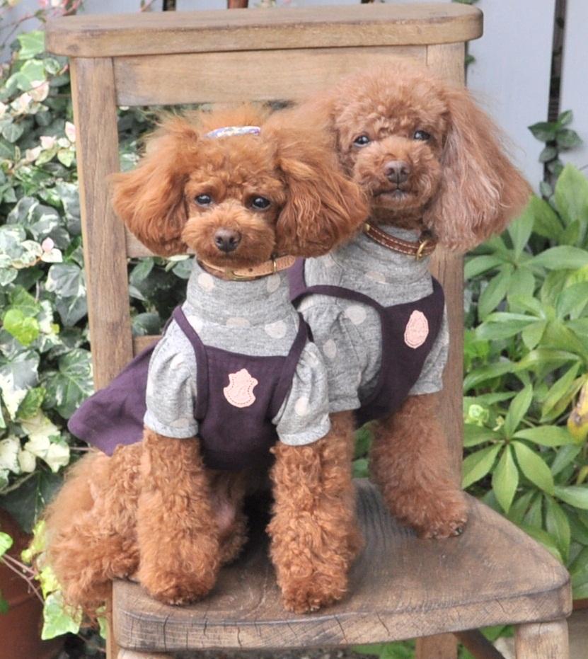 *ヴィヴィ＆アン*