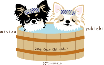まめこ