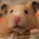 てんちゃんとまったり☆