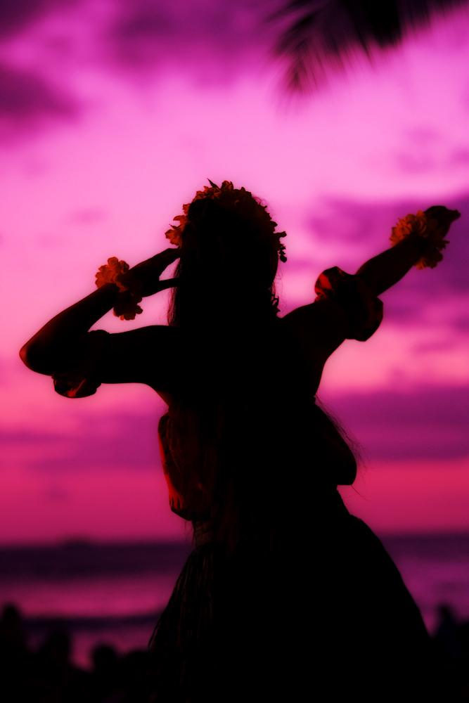 上選択 フラダンス 壁紙