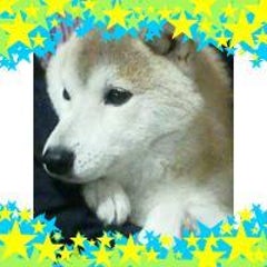 甘がえる♪のプロフィール