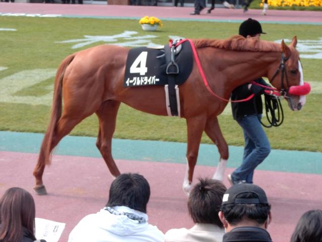 21年 6月13日 日 3回東京4日目 出走馬 馬名意味由来 論愚阿来無の欠伸日誌 ろんぐあらいぶのあくびにっし