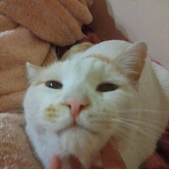 natuのプロフィール