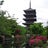 京こね☆ニュース