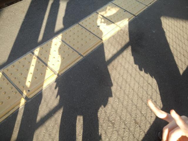きゃっぷりーず
