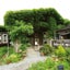 画像 香寺ハーブ・ガーデンのブログのユーザープロフィール画像