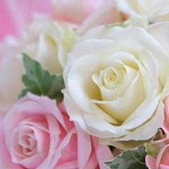ハッピーergのプロフィール