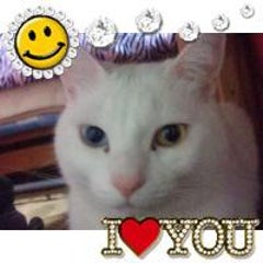 ひろみんのプロフィール