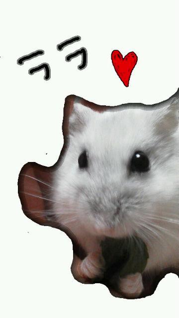 ゆめ
