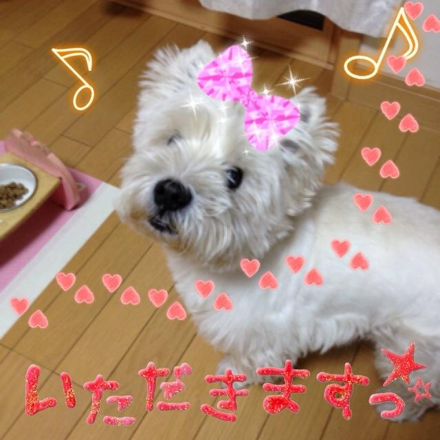 夙川美肌サロンMilky