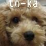 to-ka