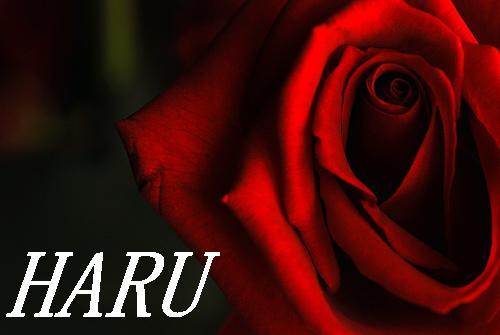 HARU