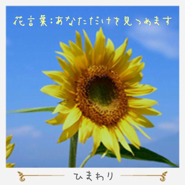 みぃ