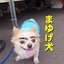 しまなみ太郎のサムネイル