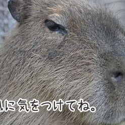 阿蘇ファームランド まなびのもり ふれあい動物王国さんのプロフィールページ