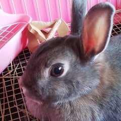 みゆきんのプロフィール