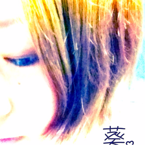 葵。