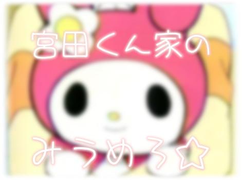 [〒] はちがしらくんの実有。