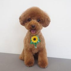 KUMIのプロフィール
