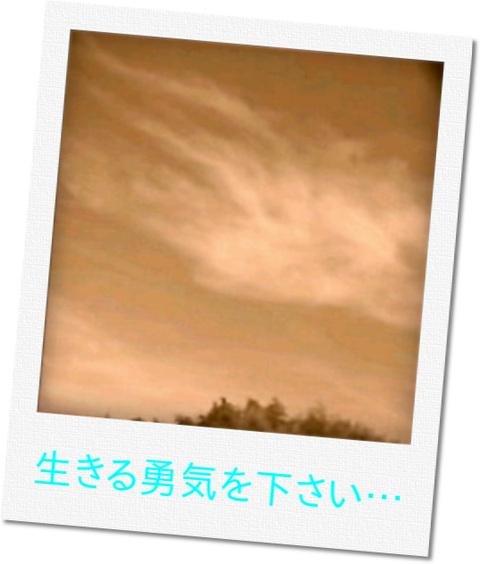 山 ＋ 風 ＝ 嵐 *ﾟﾟ｡ﾟ* 