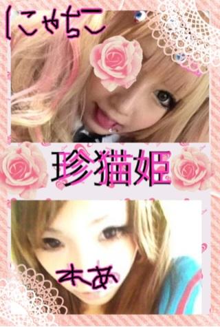 ☆珍猫姫☆
