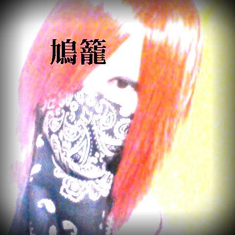 seal(。-∀-)