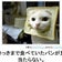 意外とハマったと思いきや。