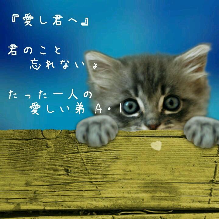†☯ ÅＩ ☯ †
