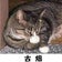 シュウタ語録の徒然に