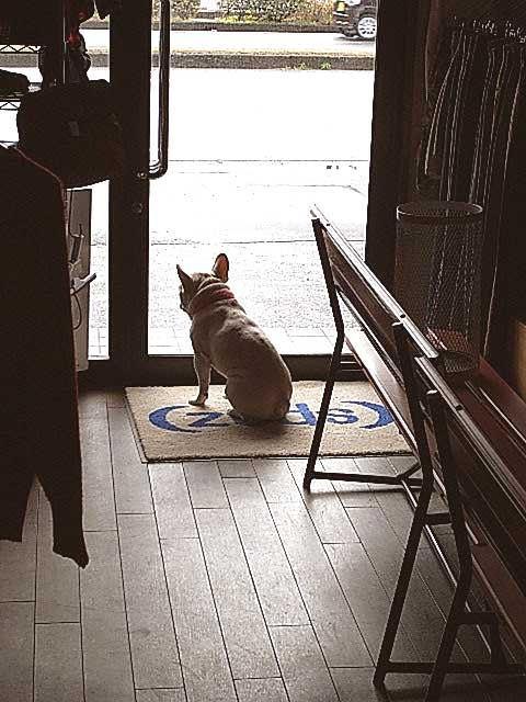 キムタク着 同型同色 パタゴニア スナップＴ・・・ | 愛知県一宮市の