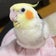 ゆずぼうのブログ