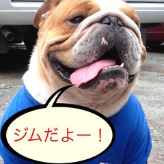 フィットネスジム・ジョイフルタイムのプロフィール