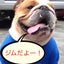 フィットネスジム・ジョイフルタイムのサムネイル