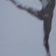 La Danse Compagnie Nuage ひばり のブログ