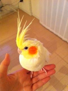 もぐもぐ
