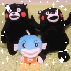 知られざる世界 を ぜひ もっかい見てみたい 今日もよっこらしょっと 知られざる世界 を ぜひ もっかい見てみたい 今日もよっこらしょっと