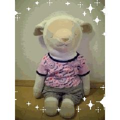 お友達のメメちゃんのプロフィール
