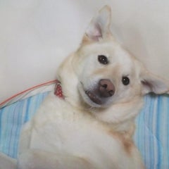 NDNスタッフのプロフィール