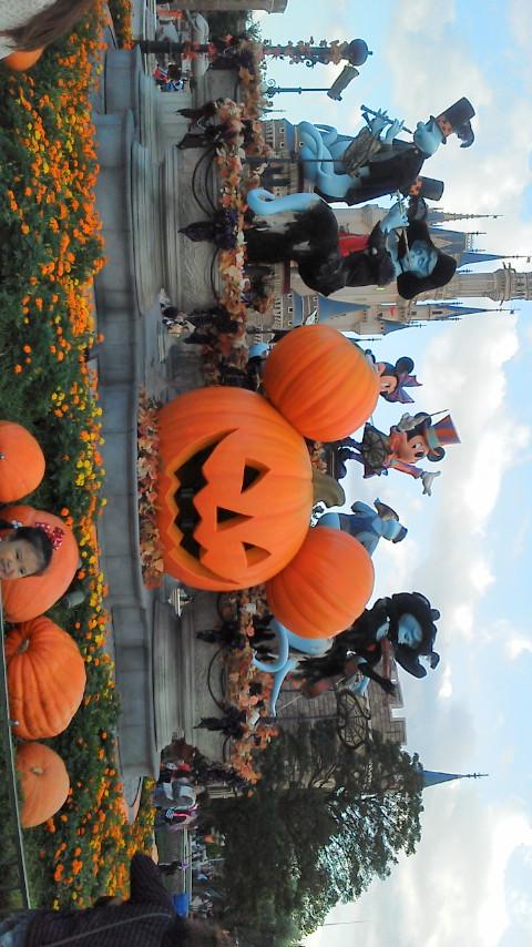 Stitch&ちゃま