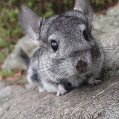 首すわりと斜頸のこと あれっくすまいる