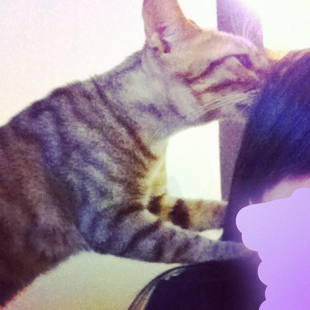 MikaChiang