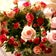 ♡happy  day♡