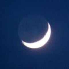 ことてんのプロフィール
