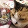 みけねこ。～手作りのお部屋～
